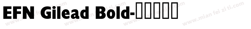 EFN Gilead Bold字体转换